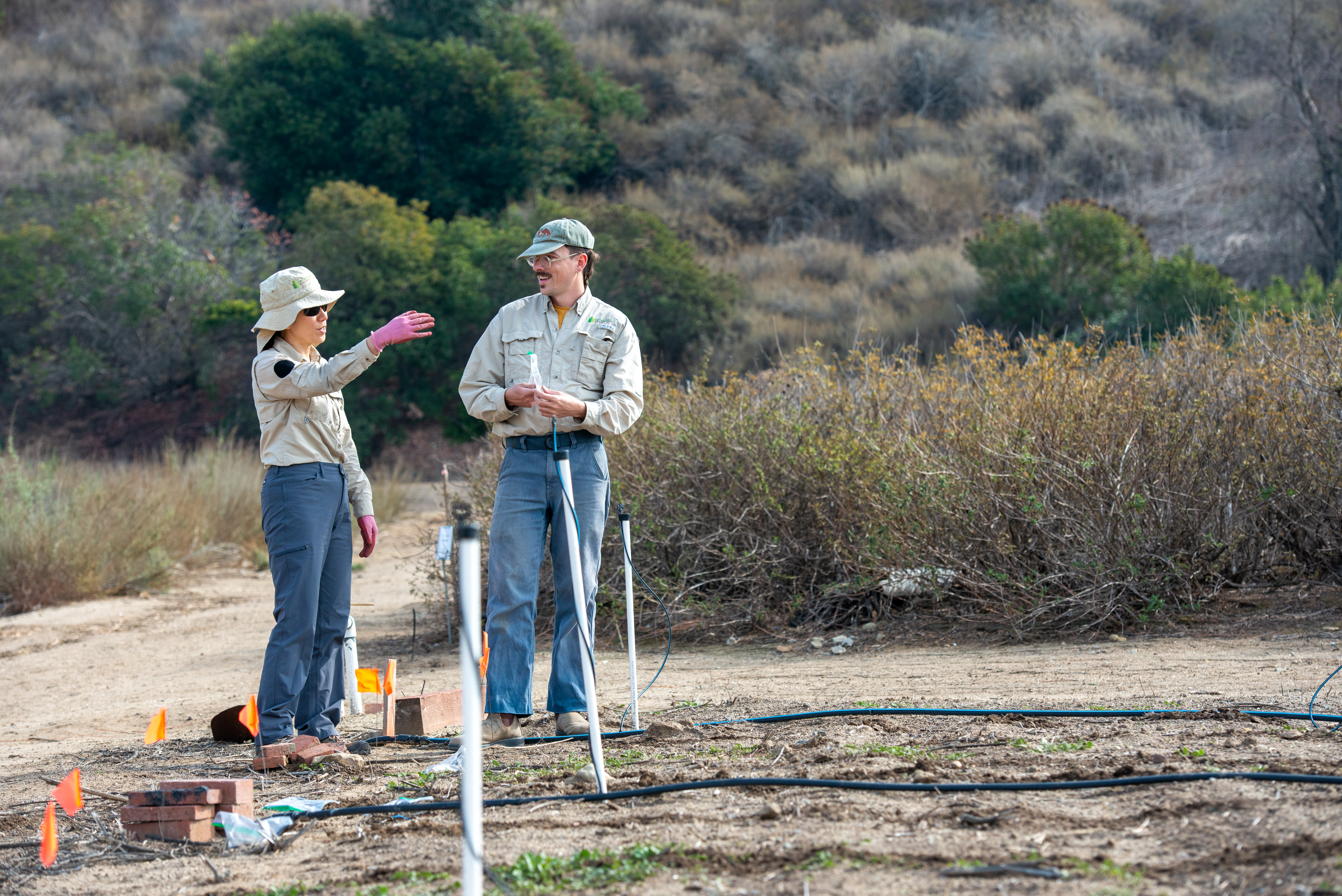 Irvine Ranch Conservancy staff members Yi-Chin Fang, GIS and data manager, and Jesse Potter, project manager of plant materials development at the Native Seed Farm, take part in a staff seeding day.