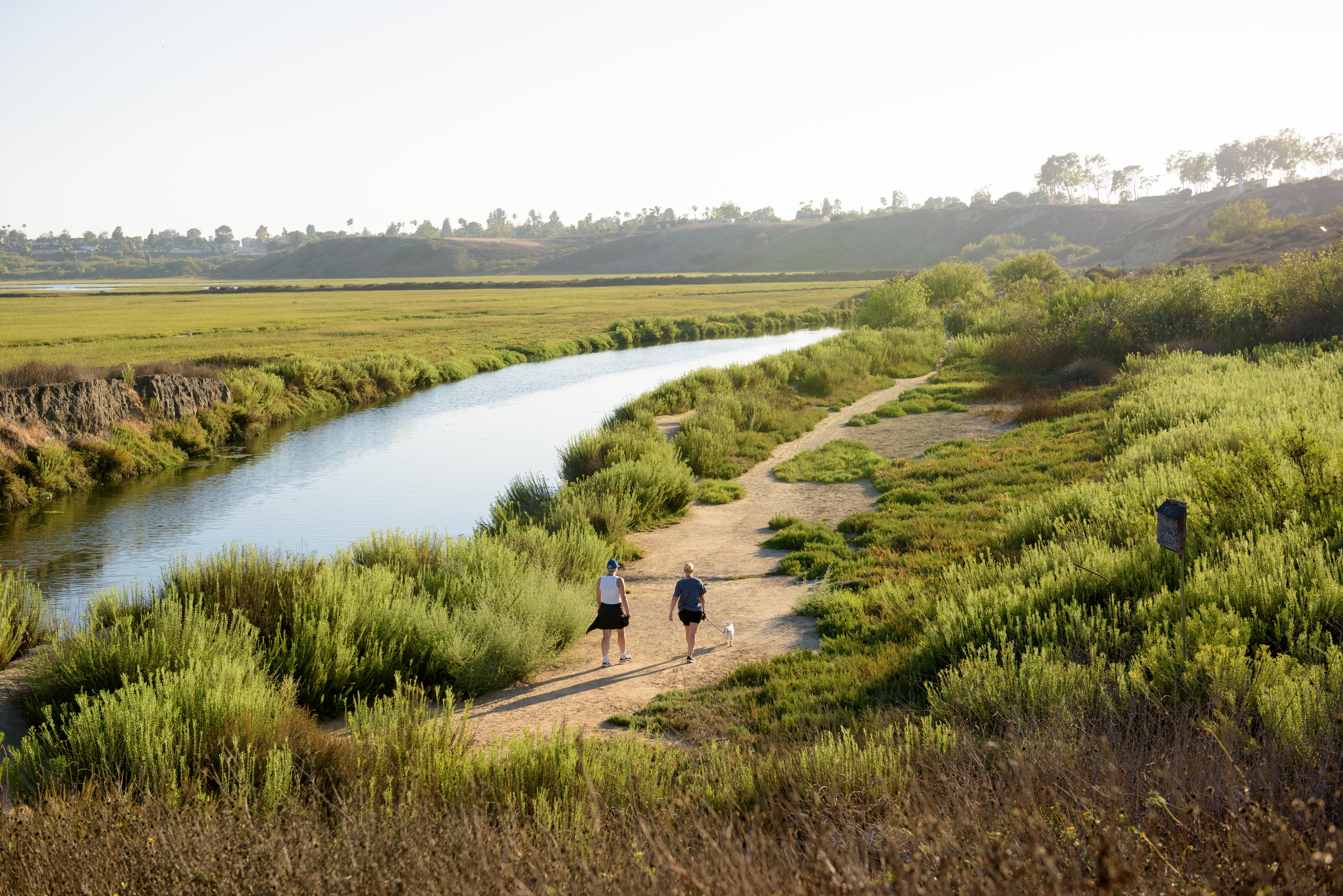 Upper Newport Bay Nature Preserve offers one of Southern California’s most peaceful coastal escapes, where scenic trails and rich wildlife create a stunning haven for nature lovers. #UpperNewportBay #ExploreOC 🌾🕊️