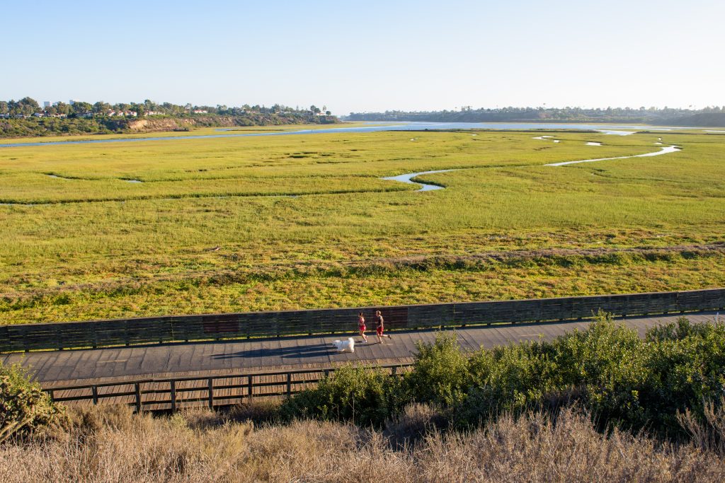 Upper Newport Bay Nature Preserve offers one of Southern California’s most peaceful coastal escapes, where scenic trails and rich wildlife create a stunning haven for nature lovers. #UpperNewportBay #ExploreOC 🌾🕊️