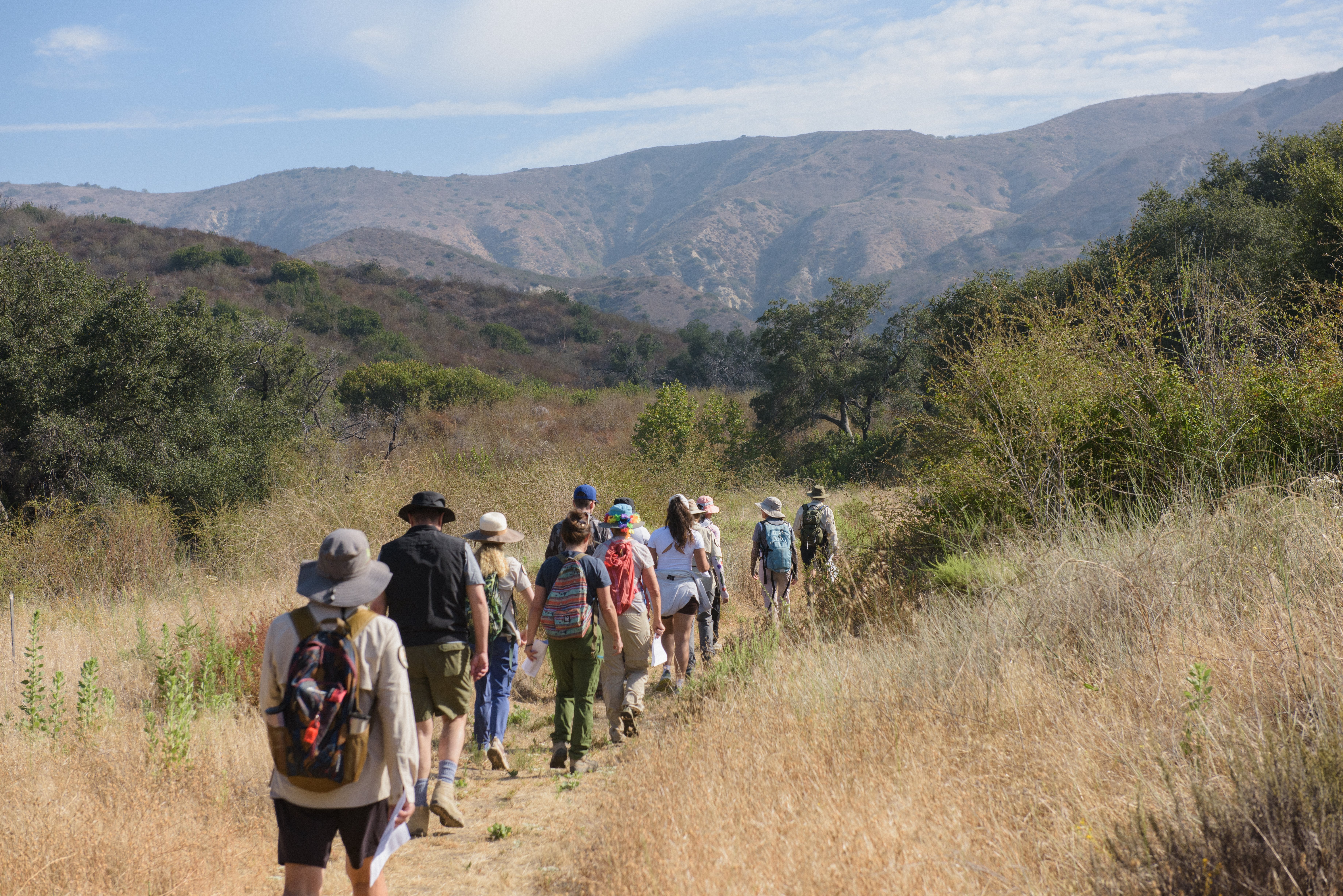 Estivation shows how Southern California wildlife and native plants survive summer heat through clever dormancy strategies that help ecosystems rest, adapt and thrive 🐸☀️ #Estivation #OCWildlands